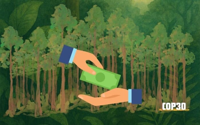 COP30 | Nace fondo histórico de 5,000 mdd para proteger bosques tropicales en 70 países