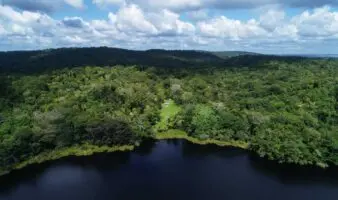 Uso sostenible, clave para conservar la Reserva de la Biosfera Maya