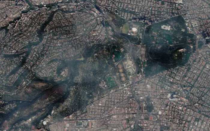 'Naturalista en Chapultepec': descubre su vida silvestre | Por Carlos Galindo Leal