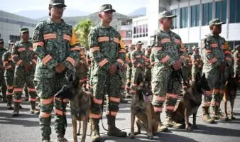Perros, bomberos, drones, forenses: así ayuda el mundo a Venezuela