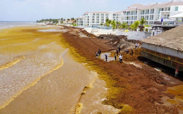 Sargazo, falta de vuelos y crisis global rompen la promesa de turismo mundialista en el Caribe mexicano