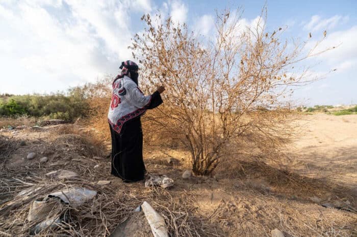 ONG 'Plan International' alerta del impacto de la crisis climática en los derechos de las niñas