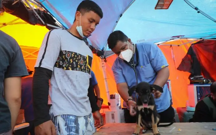 Refugios de animales, desbordados tras los devastadores terremotos en Venezuela