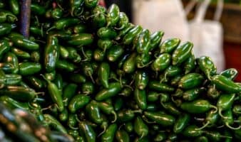 Cofepris descarta salmonela en chiles jalapeños empacados en Nuevo León