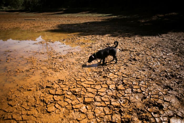 El Niño podría causar 451,000 muertes adicionales en el mundo hasta febrero