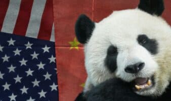 Xi Jinping anuncia ante Trump la llegada de dos pandas al zoológico de Atlanta