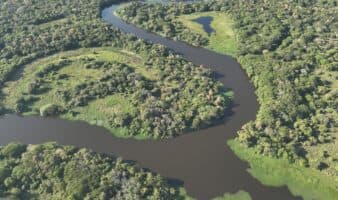 De la Amazonía al Pantanal: Onçafari impulsa corredores ecológicos para proteger la biodiversidad de Brasil