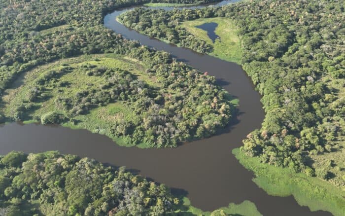 De la Amazonía al Pantanal: Onçafari impulsa corredores ecológicos para proteger la biodiversidad de Brasil