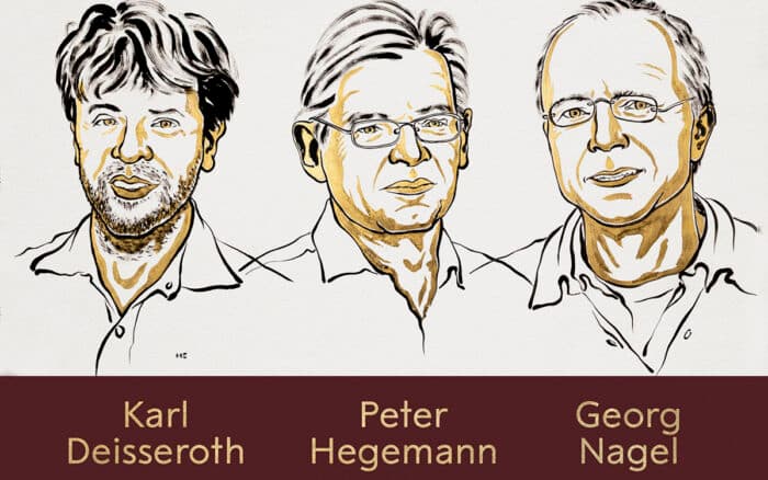 Nobel de Medicina 2026 reconoce a tres científicos por desarrollar la optogenética