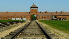 Podrían procesar a 50 nazis que fueron guardias en Auschwitz