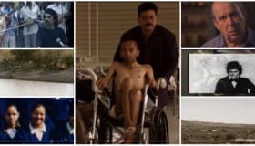 Los 10 documentales mexicanos más exitosos de 2013