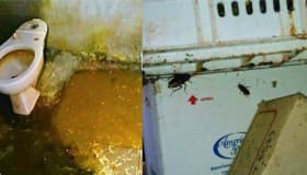 Seis testimonios de víctimas en el albergue de #MamáRosa