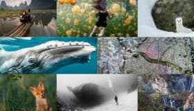Las 20 mejores fotos del 2015, según 'NatGeo'