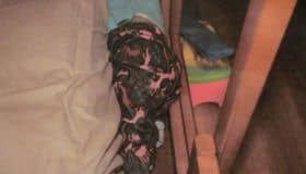 Escolta de Alfredo Castillo evitó que se esclareciera muerte de la niña Paulette