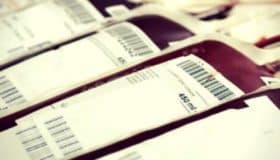 Sangre artificial para facilitar donaciones, una realidad cercana
