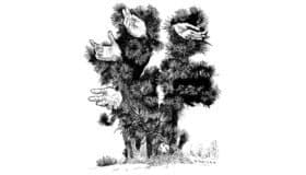 "Ayer no tuve nada para comer... hasta que mi hijo me trajo un pan en la noche"