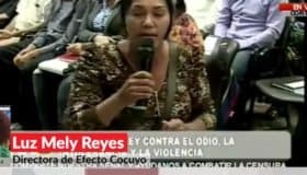 Venezuela: Constituyente despoja de algunas funciones a la Asamblea Nacional, no la disuelve (Video)
