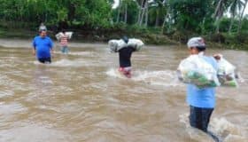 'Max' pone en alerta a municipios guerrerenses (Video)