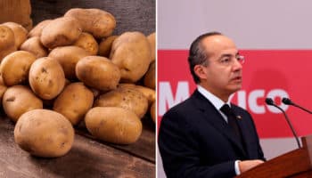 Gobierno de Calderón cedió en importación de papa por presiones de EU: García Menaut | Entérate