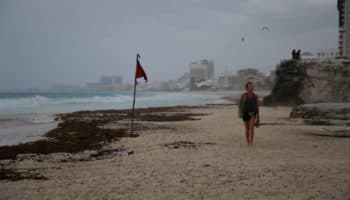 Aristegui en Vivo: Grace golpea la Península; Covid-19 en niños; refugio para afganos en México y más
