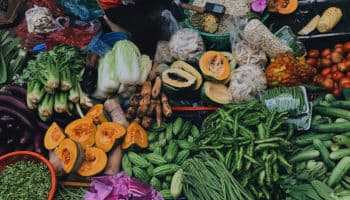 Día Mundial del Medio Ambiente: Alimentación a base de vegetales, clave para mitigar la degradación del planeta