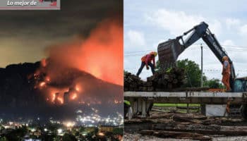 Lo mejor de Aristegui en Vivo: Cae presunto responsable del incendio en Tepoztlán | Plantar árboles no evitará daño a ecosistema por Tren Maya | Video
