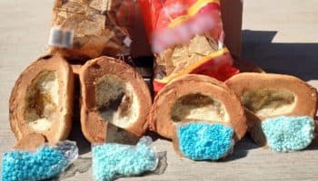 Decomisa Guardia Nacional pan artesanal relleno con pastillas fentanilo