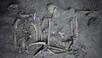 Hallan milenaria hembra de mono araña: evidencia diplomacia y obsequios entre Teotihuacán y élite maya