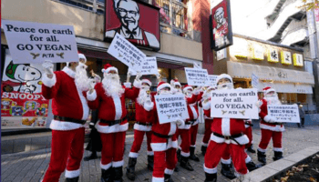 Vestidos de Santa Claus, activistas veganos protestan en KFC