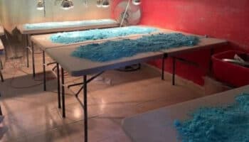 'Un desastre', si crece uso de fentanilo en México: Ebrard