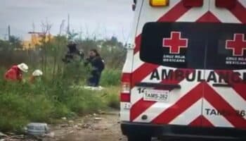 Descubren cuerpo de recién nacido en bolsa de basura en Tamaulipas