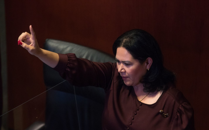 Senadora regresa a respaldar a AMLO en Fondo de Pensiones tras 'chapulinear' por 3 grupos parlamentarios distintos