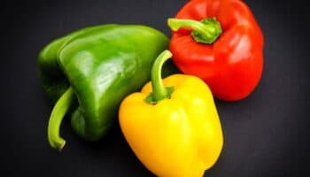 ¿Qué es el pimiento y para qué sirve?