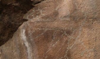 Identifican grabados y pinturas rupestres en Hidalgo
