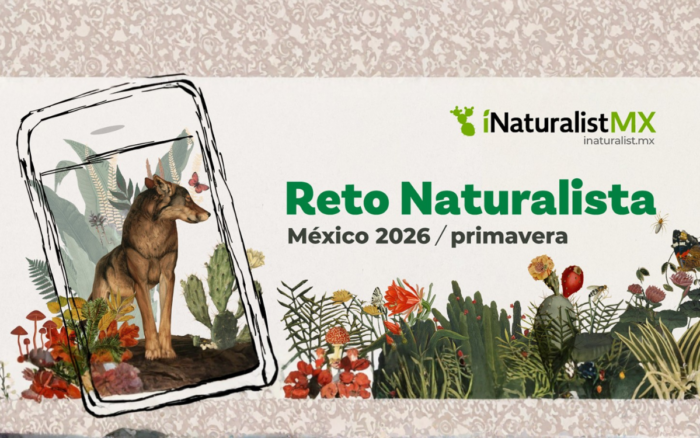 Naturaleza y ciencia ciudadana: resultados del Reto Naturalista de primavera 2026
