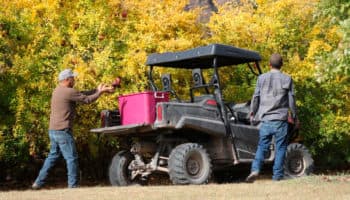 Denuncian a complejo residencial en San Pancho, Nayarit | Video