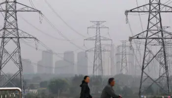 Proteger la naturaleza es 'prioridad': China previo a conversaciones de biodiversidad ONU