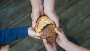 Día Mundial de la Alimentación se conmemora con situación 'crítica' de Haití, Gaza y Sudán del Sur