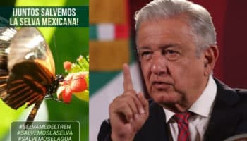 Gobierno suspende diálogo con activistas que critican daño ambiental del Tren Maya