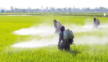 ONU insta a México a contar con leyes de sustancias químicas y plaguicidas peligrosos