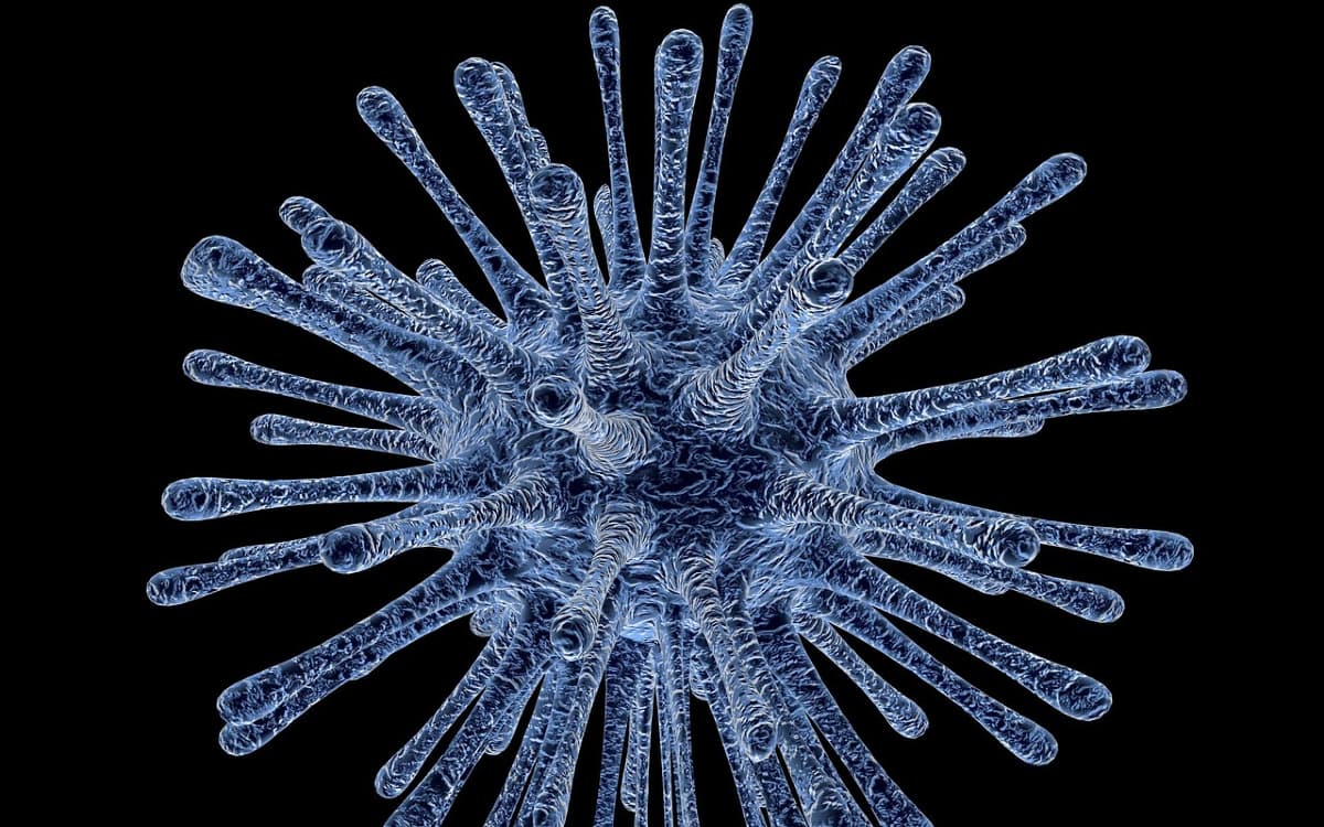 Resucitan virus 'zombie' que estuvo congelado 48 mil 500 años