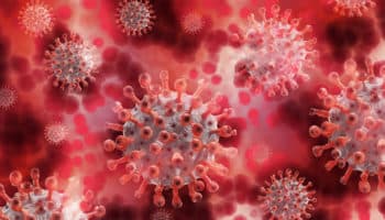 1 de 5 hombres contrae un papiloma humano genital de alto riesgo: estudio