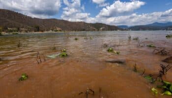 'Es inconcebible que desperdiciemos el agua de lluvia cuando enfrentamos una crisis de abasto': Luege Tamargo | Entérate