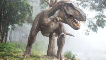 Los dinosaurios fueron pioneros en entender la perspectiva de los demás