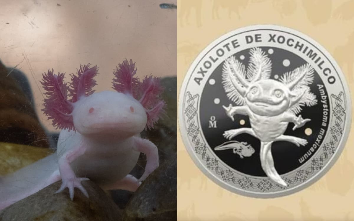 Lanzan monedas conmemorativas