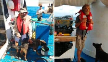 'Amo el océano': así fueron las primeras palabras del náufrago rescatado junto a su perrita