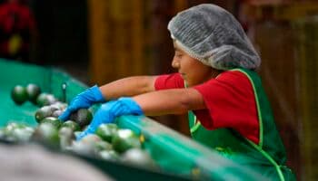 Actividad económica de México crece un 4.4% interanual en febrero
