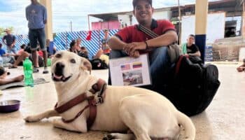 Video y fotos | Bethoven, el perro que ha recorrido con su papá 6 países en busca del sueño americano