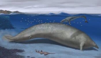 Descubren los restos del animal más grande de todos los tiempos
