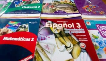 Libros de texto gratuitos no citan fuentes: Maldonado | Entérate